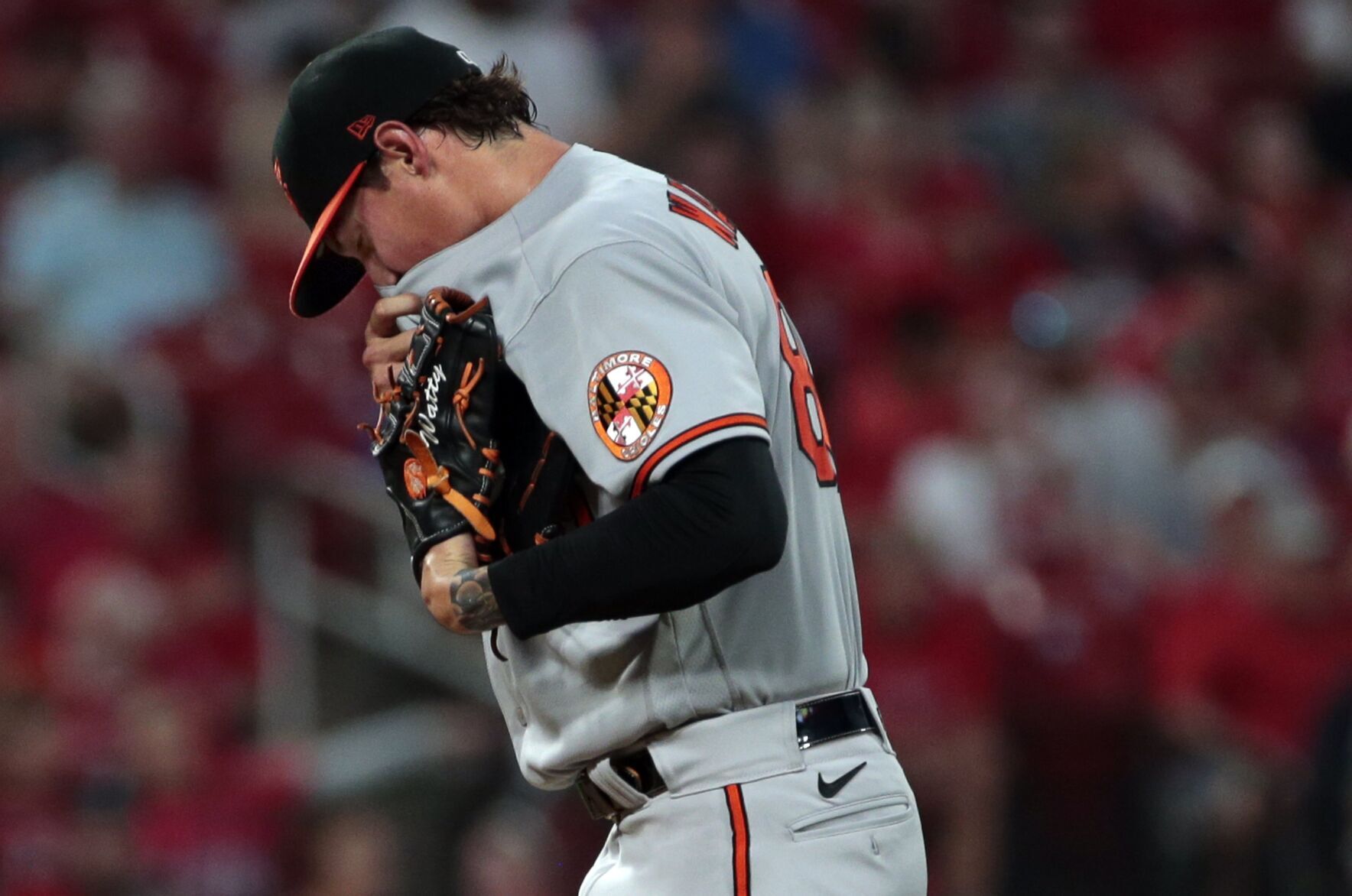 Cardinals, Orioles at Busch